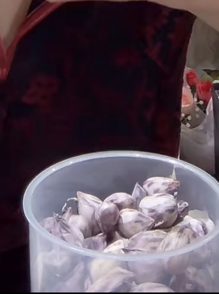 จินนี่กินถั่ว ❌
จินนี่กินกระเทียม ✅

#ginnynatnicha