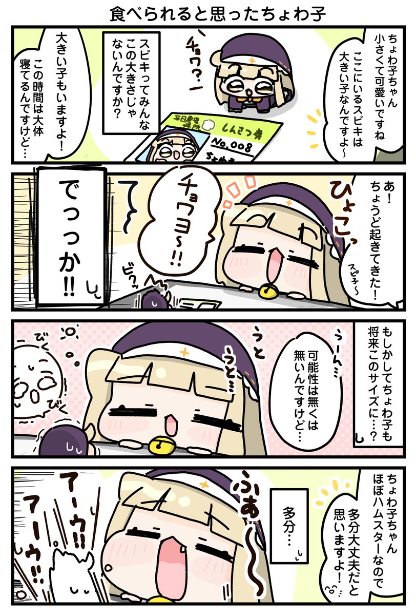 小さいちょわ子と大きなスピ子 