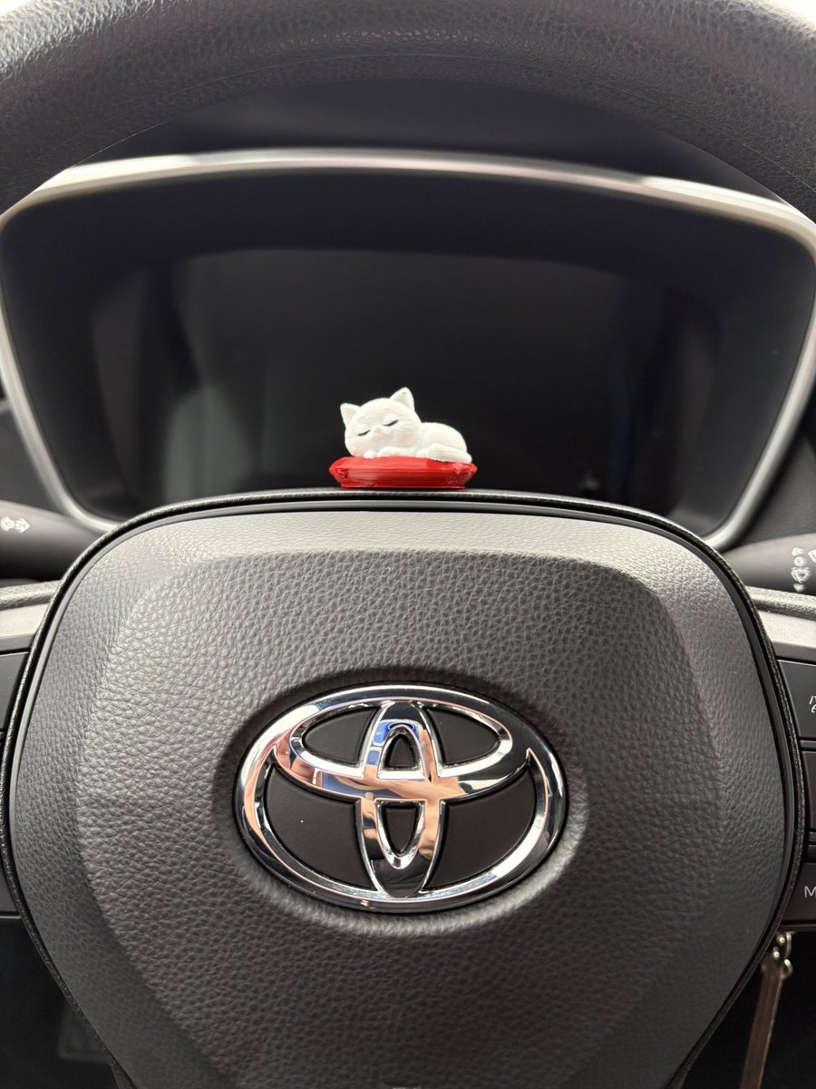 arac süsüme bakınn 🥳