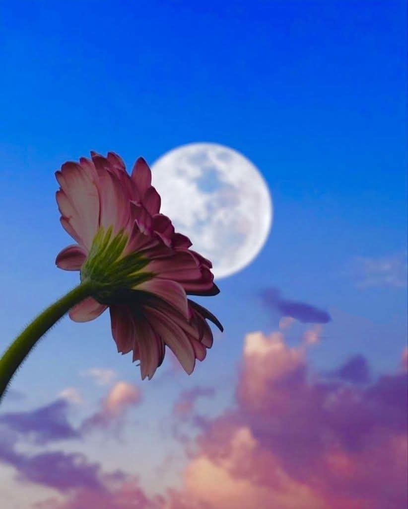 🧢┈𝔂𝓸𝓾𝓼𝓮𝓯┈♪ tweet media