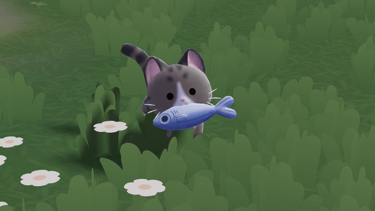 𝙣𝙩𝙤@ハートピア tweet media