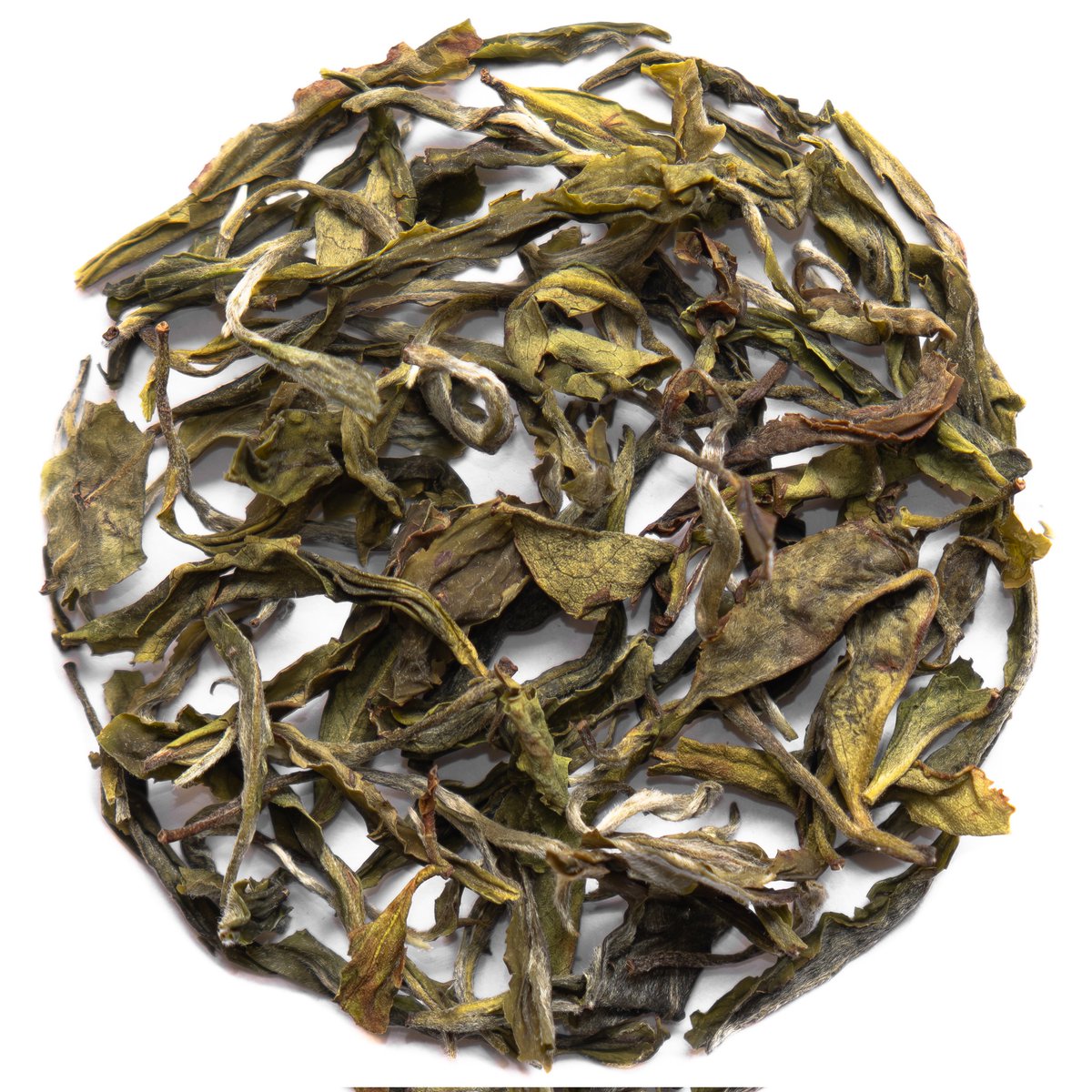 2026 Winter Frost White

Going crazy with the launches, this year has been delightful that way.

Enjoy floral notes of white flower in a very soothing cup of delicious white tea.

We're aiming to offer more white teas this year, the latest two launches are a testimony to that.