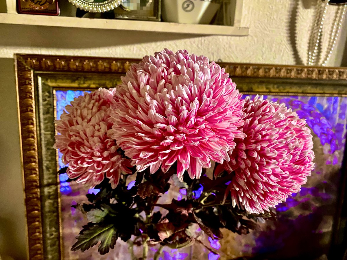 人間関係は
お互いが薪を焚べ合わなければ
そのうち火は消える