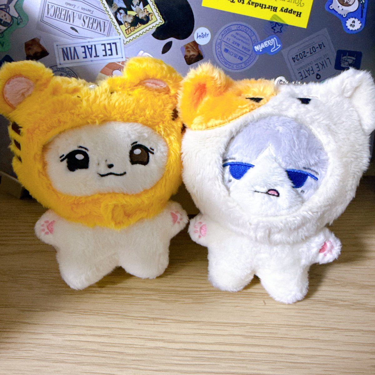 드디어 짝꿍을 만난 탭냥이
차나디도 입양완료✌🏻