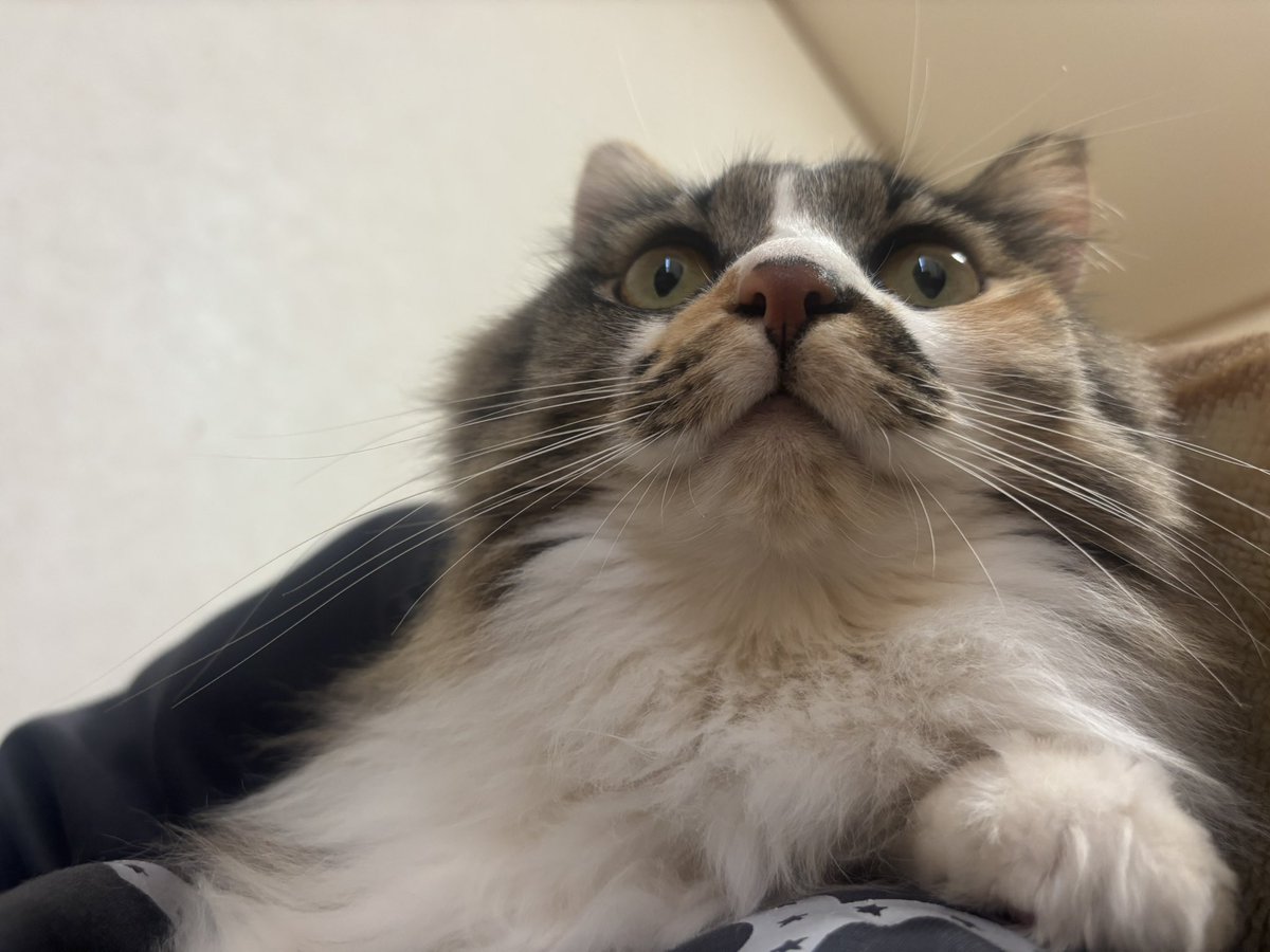 可愛いなぁッ！ﾓｳ😳