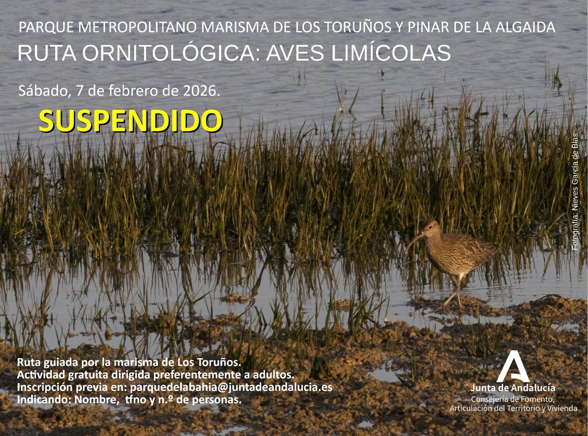 Parque Toruños tweet media