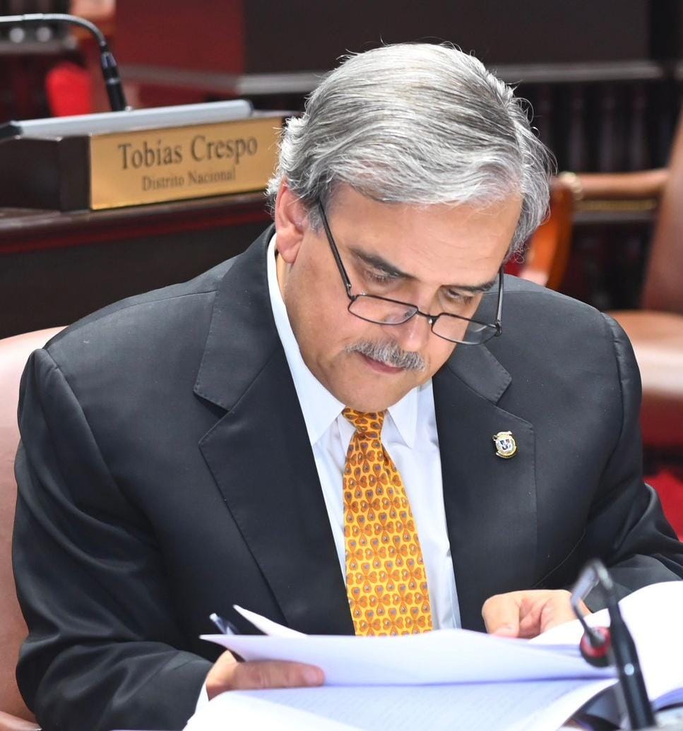 _Mercado con Reglas: la Economía de Orden y Libertad como Ruta Dominicana_

_Por Elìas Wessin_

Entre el estatismo socialista y el capitalismo "rentista y de compadres" existe una tercera vía que ha demostrado funcionar: la economía social de mercado de inspiración ordoliberal.