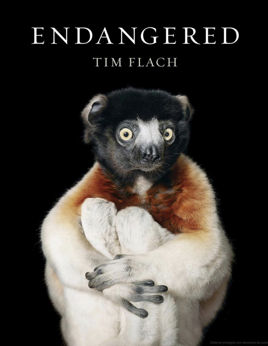 EMOCIONES EN PELIGRO - ANIMALES EN EXTINCIÓN.

La necesidad de encontrar un equilibrio entre las necesidades humanas y la protección del medio natural se ha convertido en una prioridad urgente. Nos enfrentamos a un desafío sin precedentes, a un ejercicio de responsabilidad