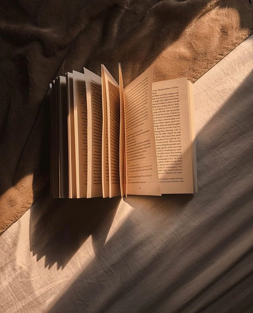 Lirius⁷ tweet media