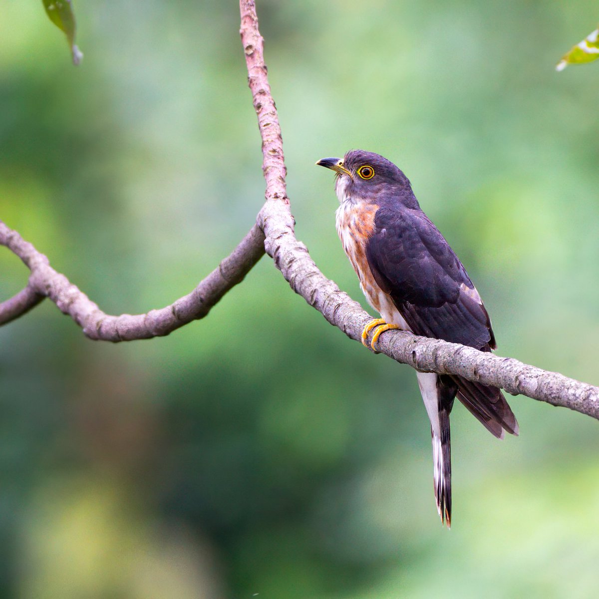 Mohit Mehta tweet media