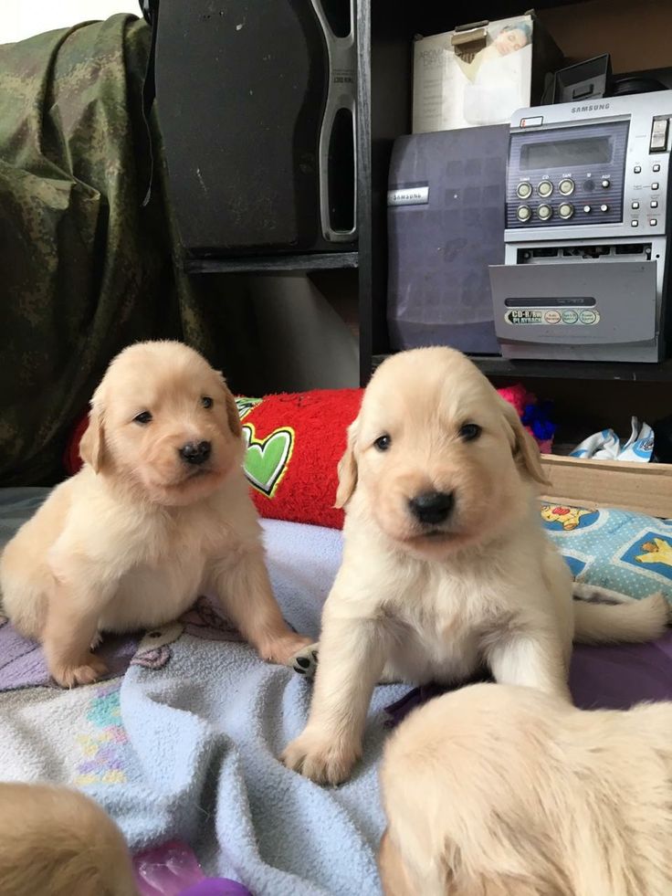 벌써 2월이네요
다들 건강하시고 식사 잘 챙기시고 나중에 겜 같이해요