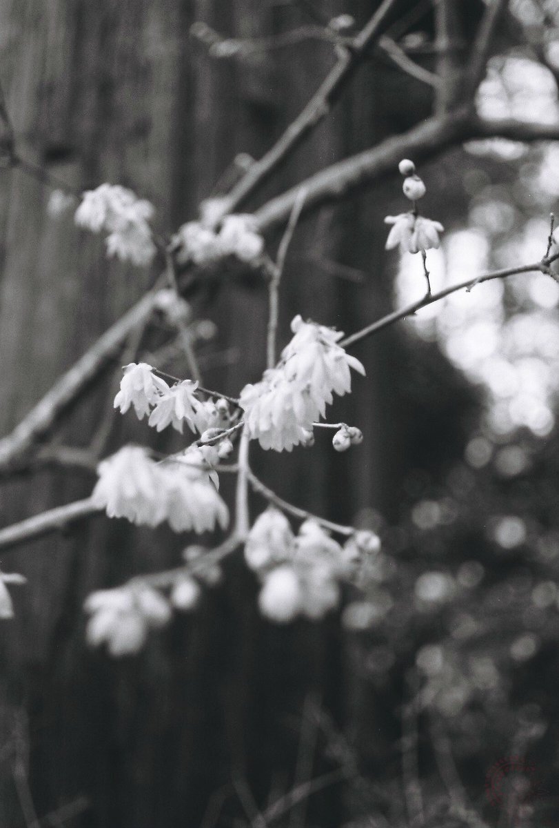 それでは皆さま、おやすみなさいませ(( _ _ ))..zzzZZ