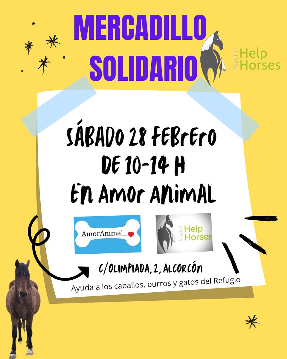 Mercadillo Solidario en @amoranimal_alcorcon. Volvemos a su 🎪 tiendita de productos para nuestros mejores amigos, los peluditos 🐶😺🐰🐹 y nos reservan un hueco para ayudarnos.
Sábado 28 de Febrero en Calle Olimpiada n° 2 en Alcorcón. ⏰ En horario de 10 a 14 horas.