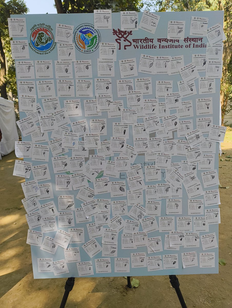 wii_eiacp's tweet photo. 📸🌿 Mission LiFE Selfie Booth – Taking Action for Nature
Students captured their commitment at the Mission LiFE selfie booth, turning pledges into action and spreading the message of peacock conservation through every click.
#MissionLiFE #PeacockAwareness #TakeActionForNature https://t.co/iSQ3ZyHT1c