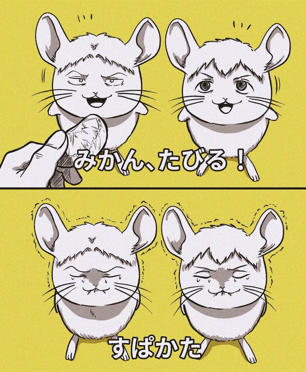 bbb81bun's tweet photo. あの可愛い��イートより https://t.co/KTPN7jq8LQ