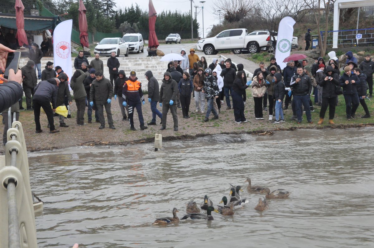 Bursa DKMP tweet media