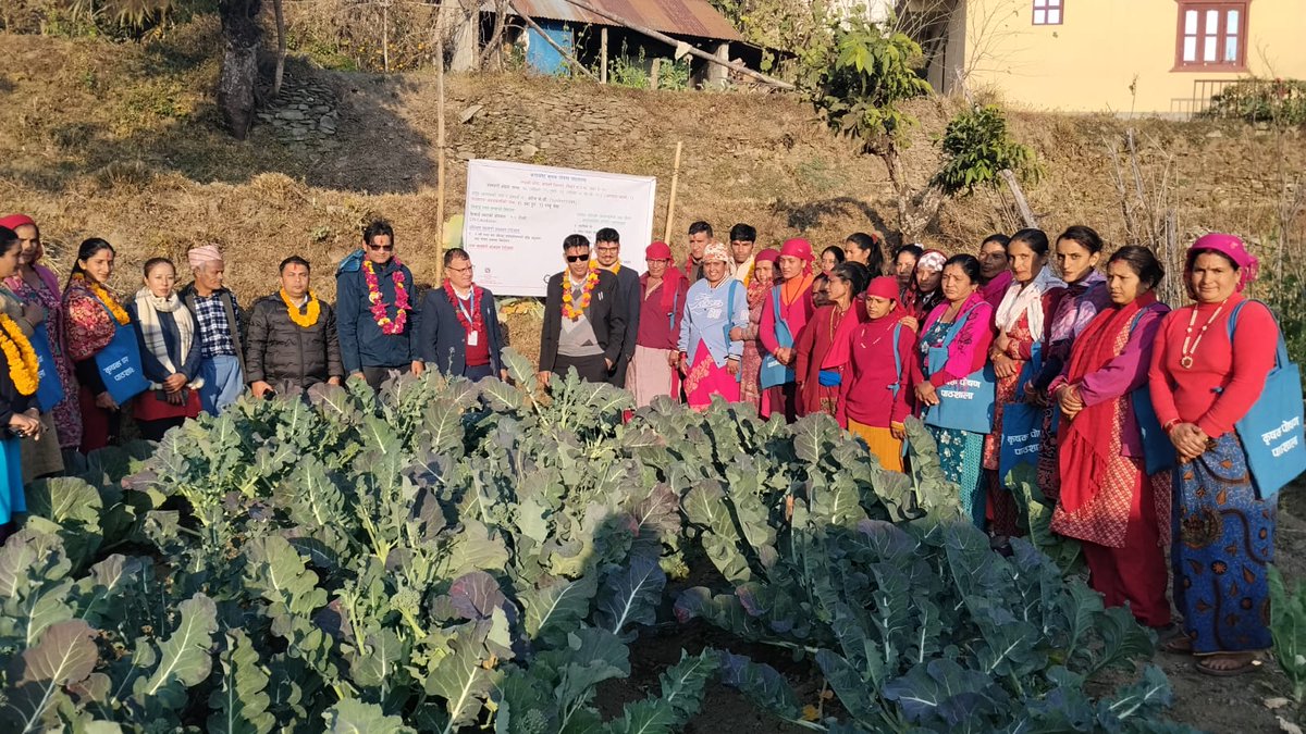 WFP_Nepal's tweet photo. 𝐇𝐞𝐚𝐥𝐭𝐡𝐲 𝐟𝐮𝐭𝐮𝐫𝐞𝐬 𝐬𝐭𝐚𝐫𝐭 𝐚𝐭 𝐡𝐨𝐦𝐞!

@WFP and @MoALD_nepal drive sustainable farming for better nutrition🌾

The 𝘍𝘢𝘳𝘮𝘦𝘳 𝘕𝘶𝘵𝘳𝘪𝘵𝘪𝘰𝘯 𝘚𝘤𝘩𝘰𝘰𝘭 help families grow smarter and eat healthier.

Thanks @GAFSPfund 🙌 https://t.co/lqu9N2xkHy