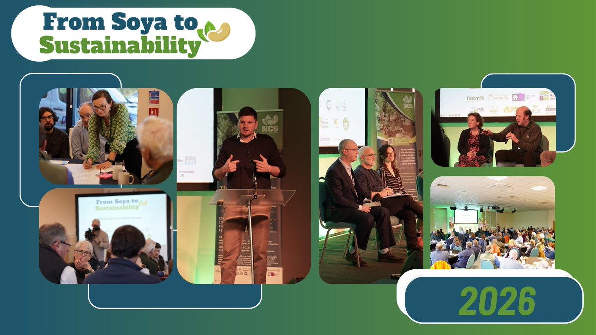 The NCS Project tweet media