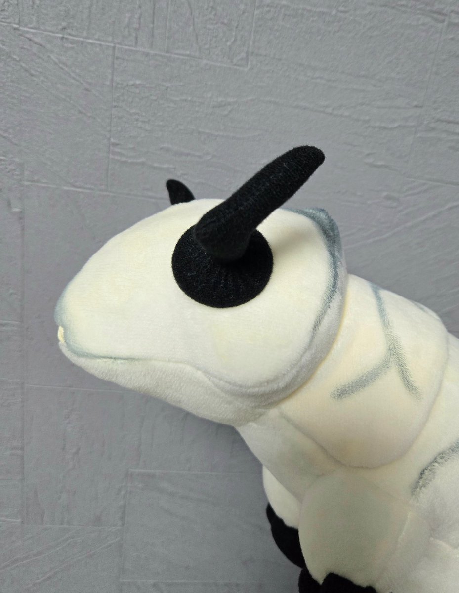 ザラメREAPLUSH@4-18-02WF2026冬 (@reaplush) / Posts / X