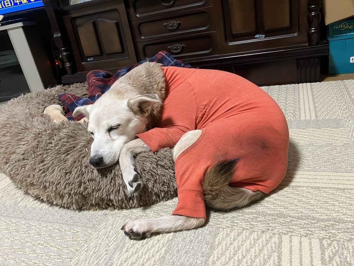 今日、三太郎を看ながらやった事。 何年も放置していた小さな絵に手を