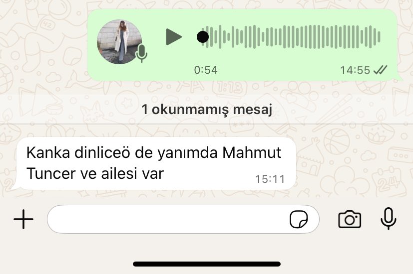Epik bir yeni mesajınız var(1)