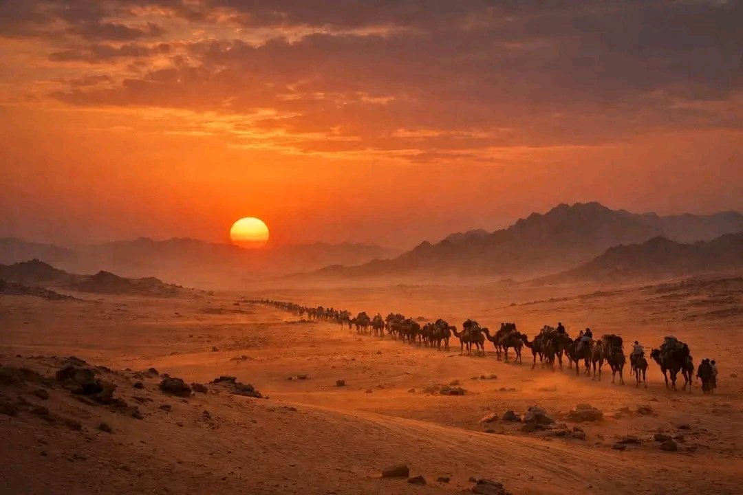 🧢┈𝔂𝓸𝓾𝓼𝓮𝓯┈♪ tweet media