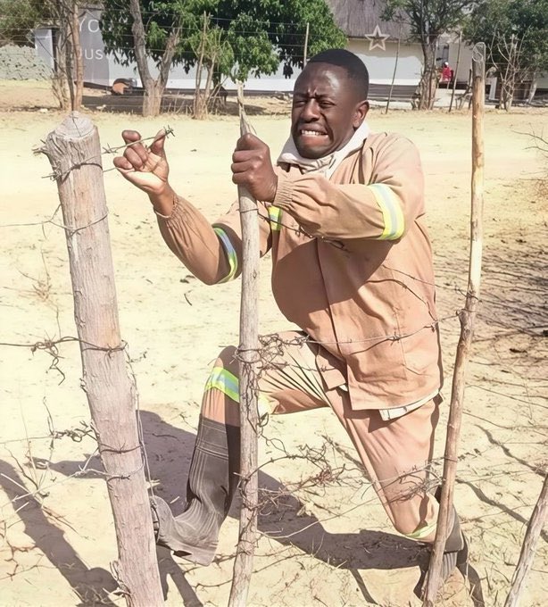 Simple Shamim tweet media