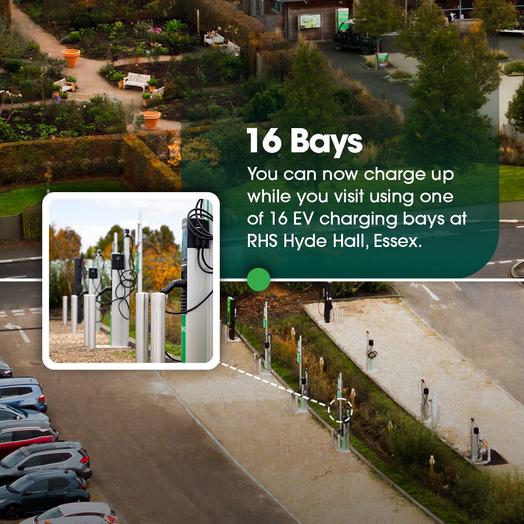 RAW Charging tweet media