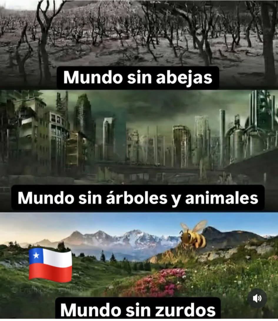 <a href="/Gatablanca87/">Rojita 🙈</a> A mi me gusta esto