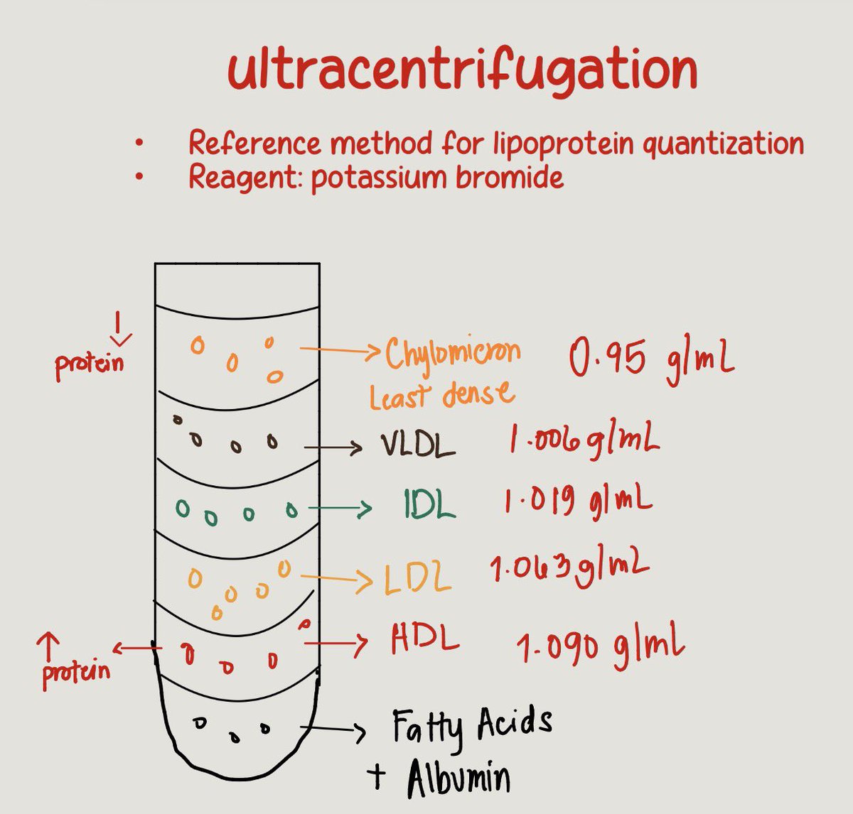 𝒮𝒶𝓂♡ just saw SVT! tweet media