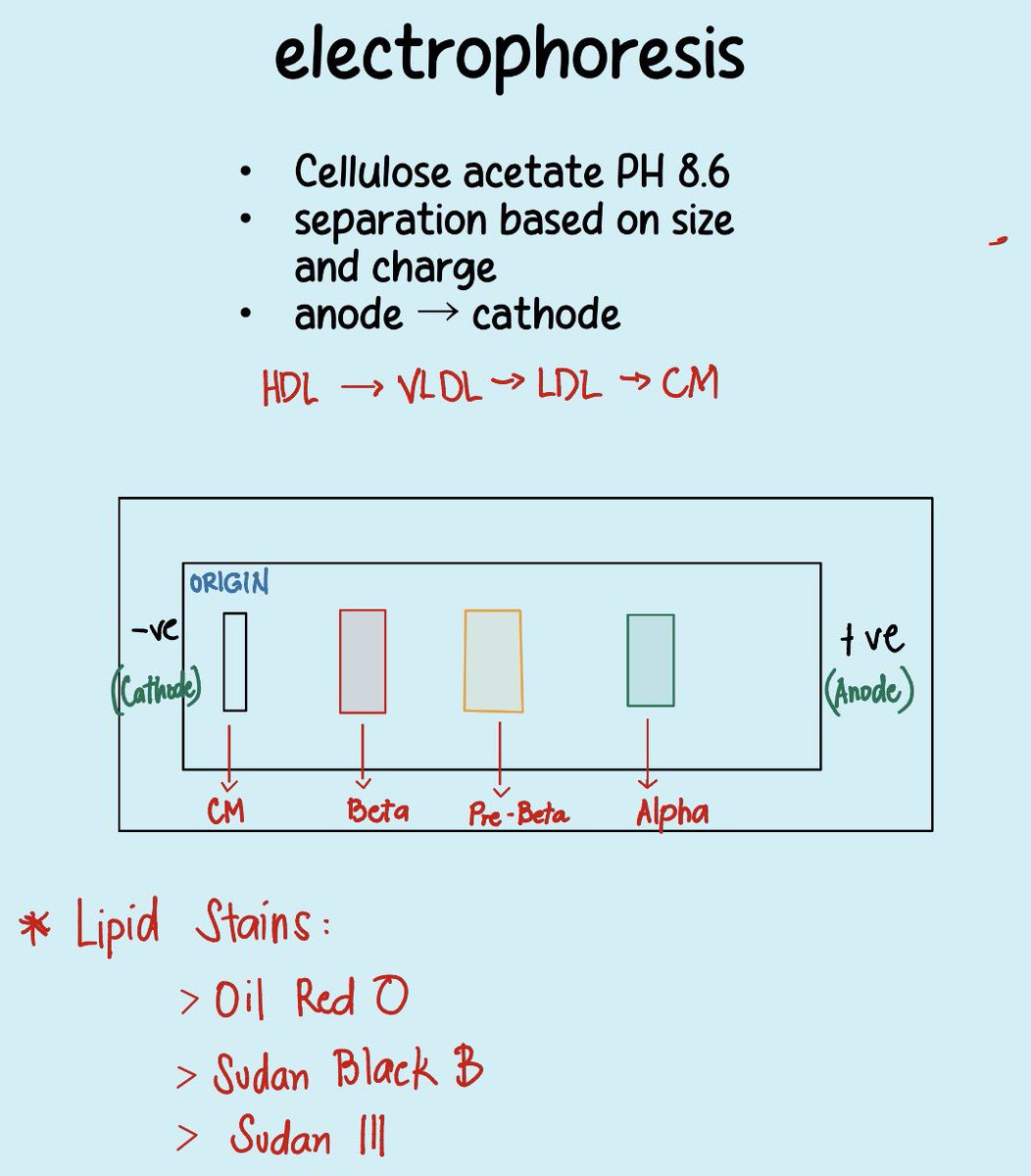 𝒮𝒶𝓂♡ just saw SVT! tweet media