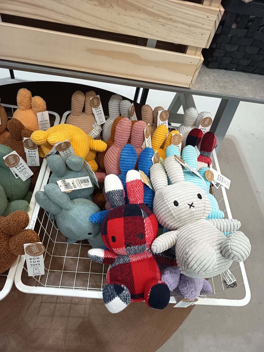 ☄ᶜᵒⁿˢᵗℰℒℒศ ᵗⁱᵒⁿ💫 tweet media