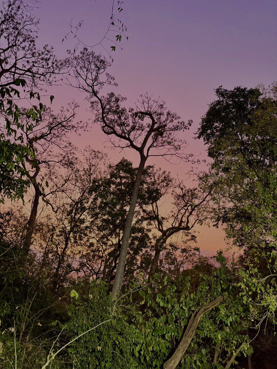 miunatshaa's tweet image. เอาท้องฟ้าสวยๆมาฝากทุกคนค่า ☁️🍭 #SkyForMiuNatsha