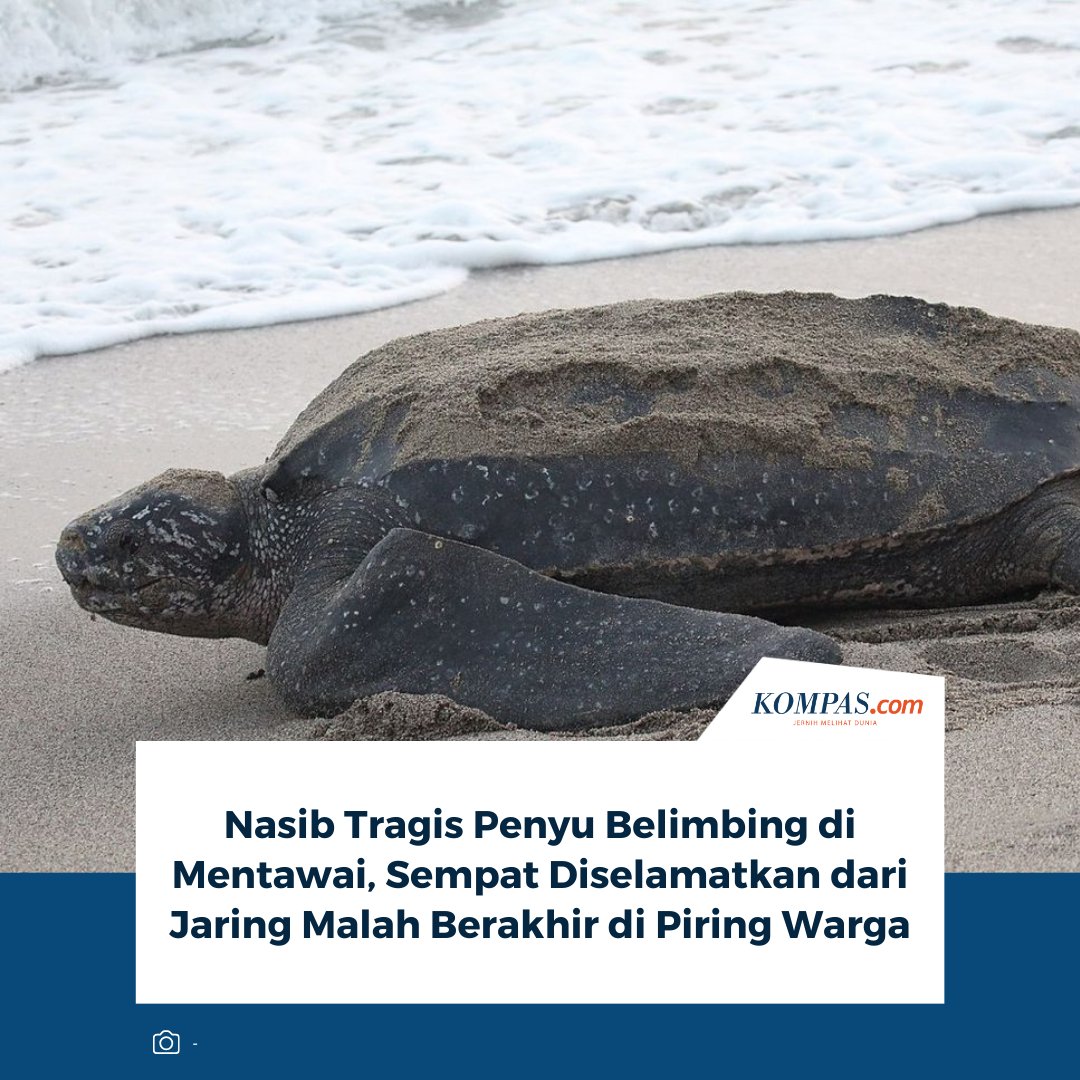Kompas.com tweet media