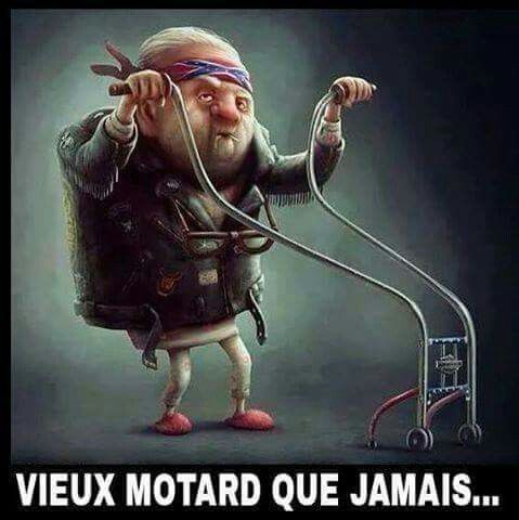 Oiseau blessé🐦 tweet media