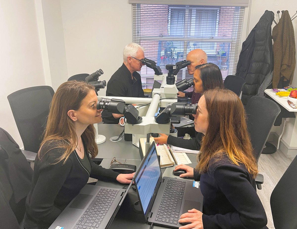 ukneqasicc's tweet photo. Behind the scenes of Run 151 assessment: our consultant pathologist and biomedical scientist assessors at work. Thank you for your expertise and ongoing support.

#UKNEQAS #Pathology #EQA
@PathologyEdin https://t.co/jKpBsYdWVo