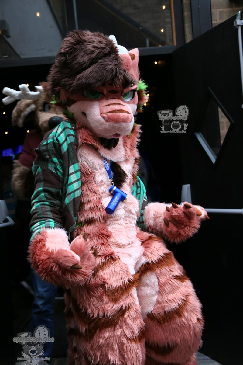 Tag ➡️ TFF, CFz tweet media