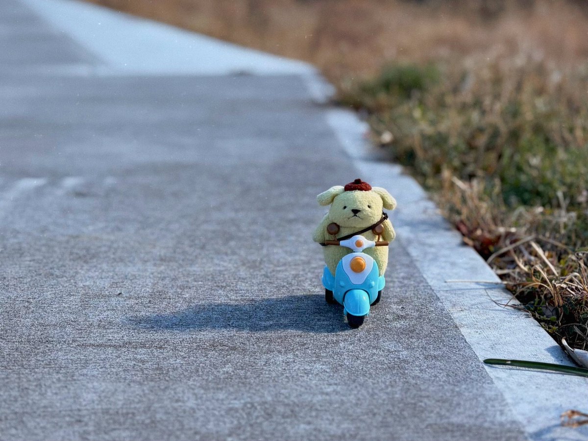 こつぶちゃん tweet media