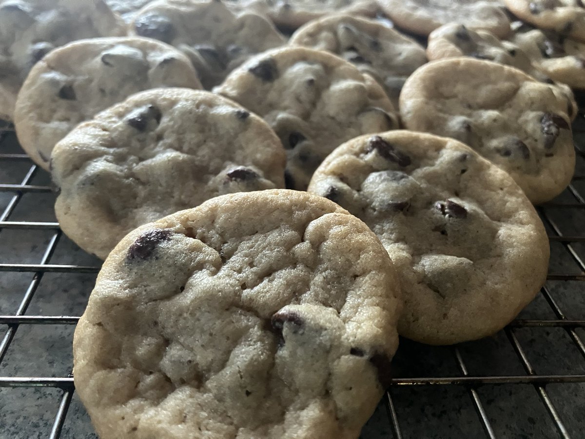 CookieDay_UNH's tweet photo. Happy #CookieDay! Have a great day & a chocolate chip cookie!! https://t.co/yyJ5dXt9nZ