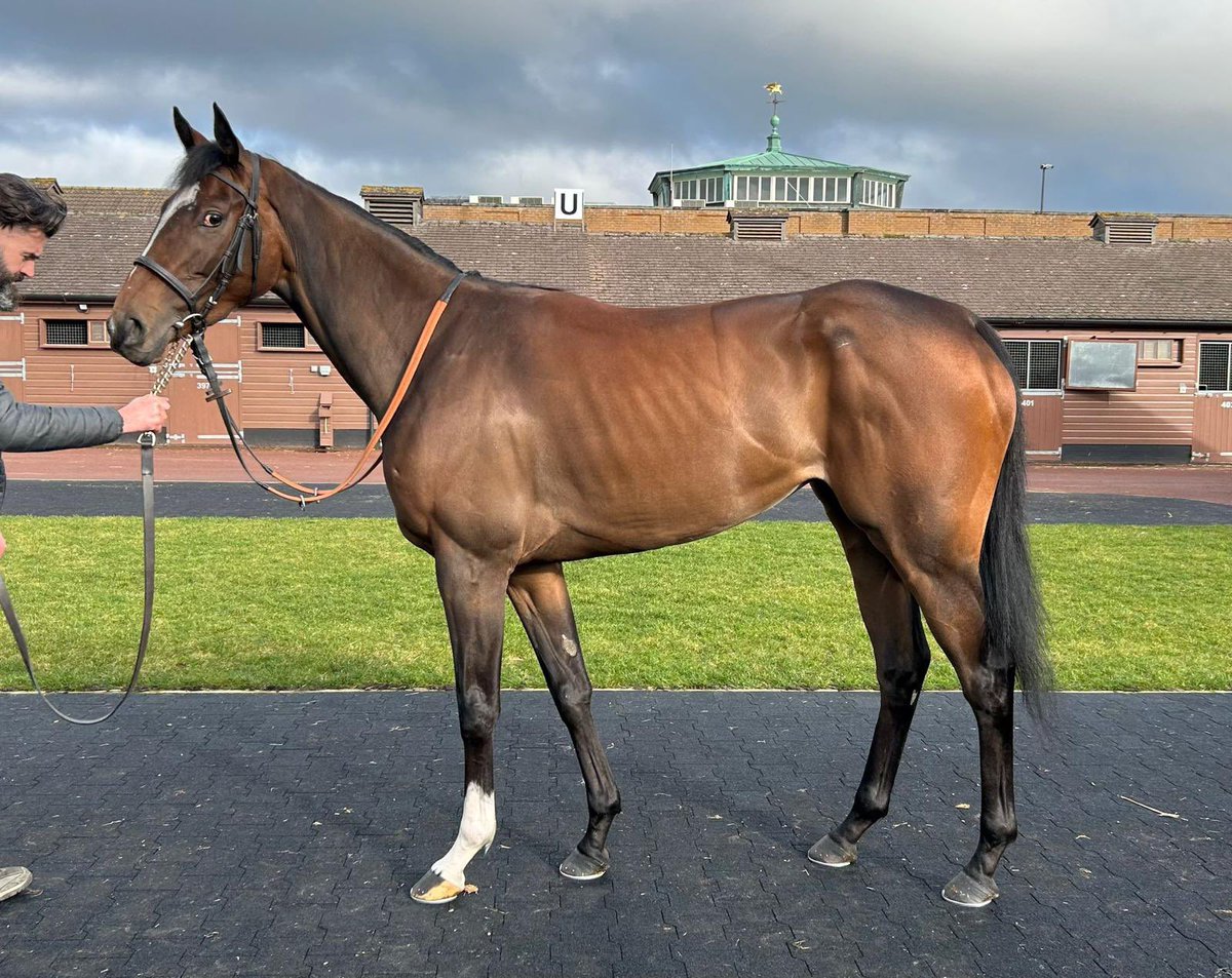 Ed Walker Racing tweet media