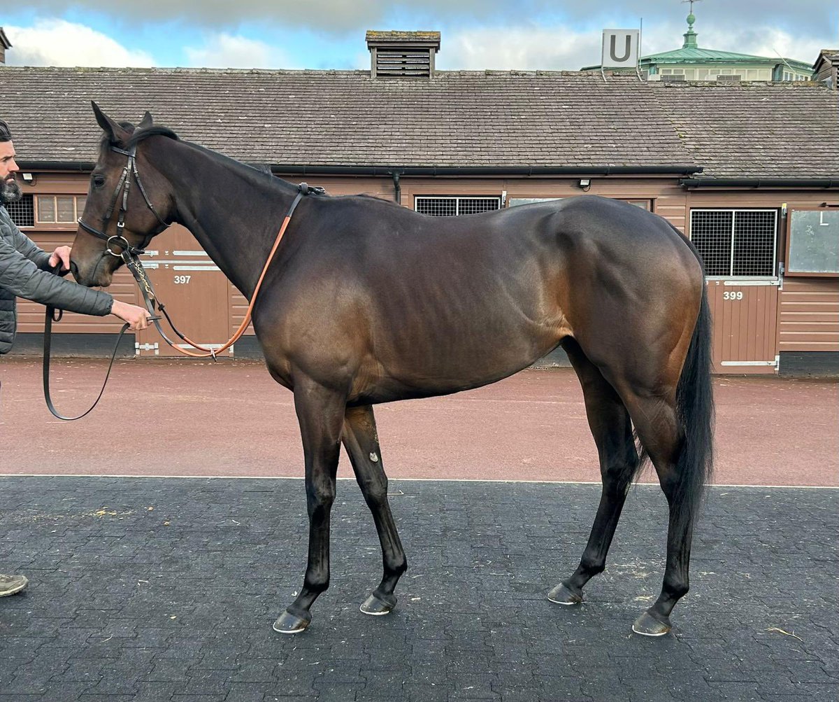 Ed Walker Racing tweet media