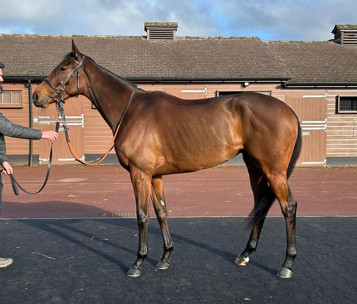 Ed Walker Racing tweet media