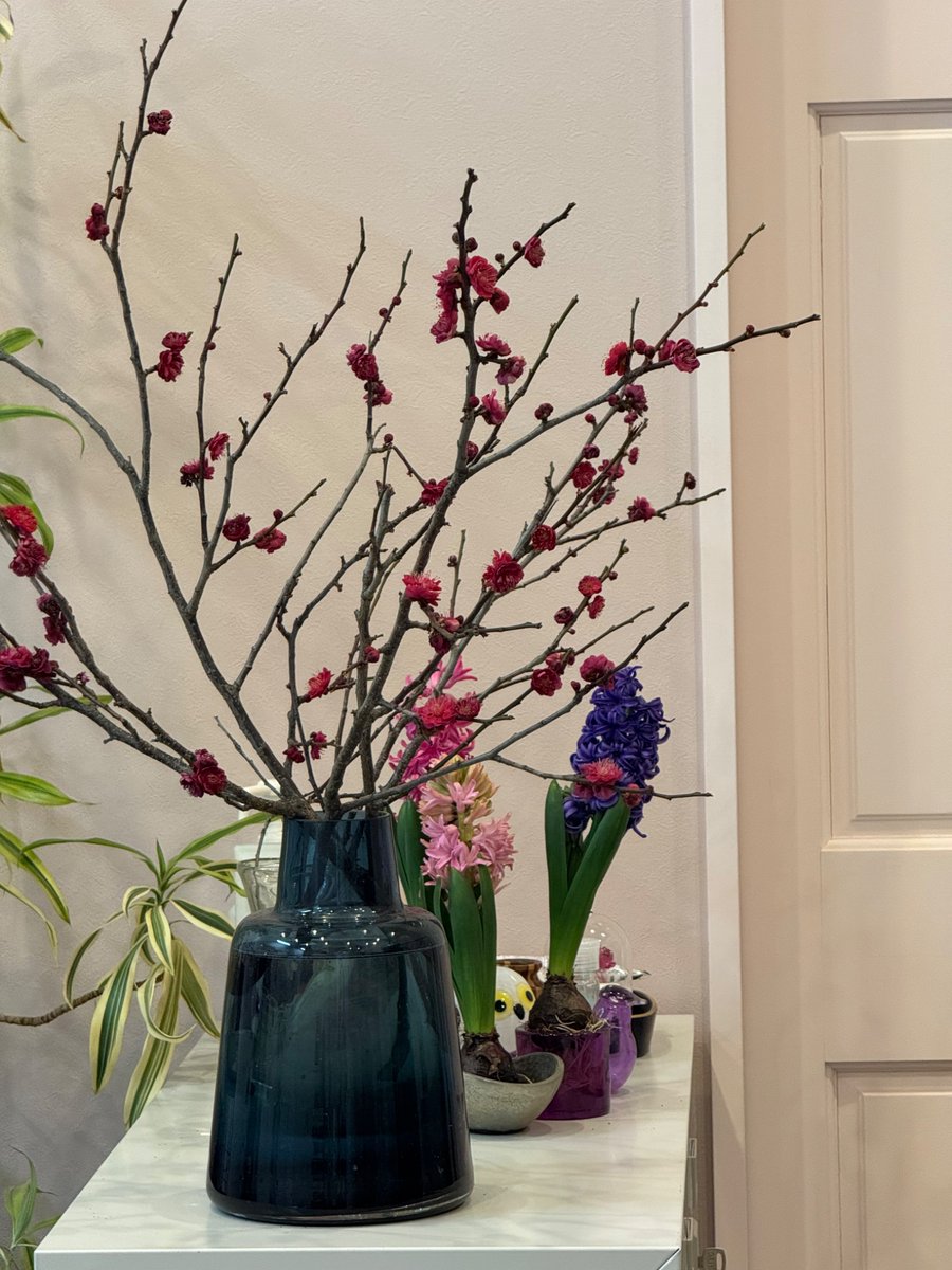 森石鹸 tweet media