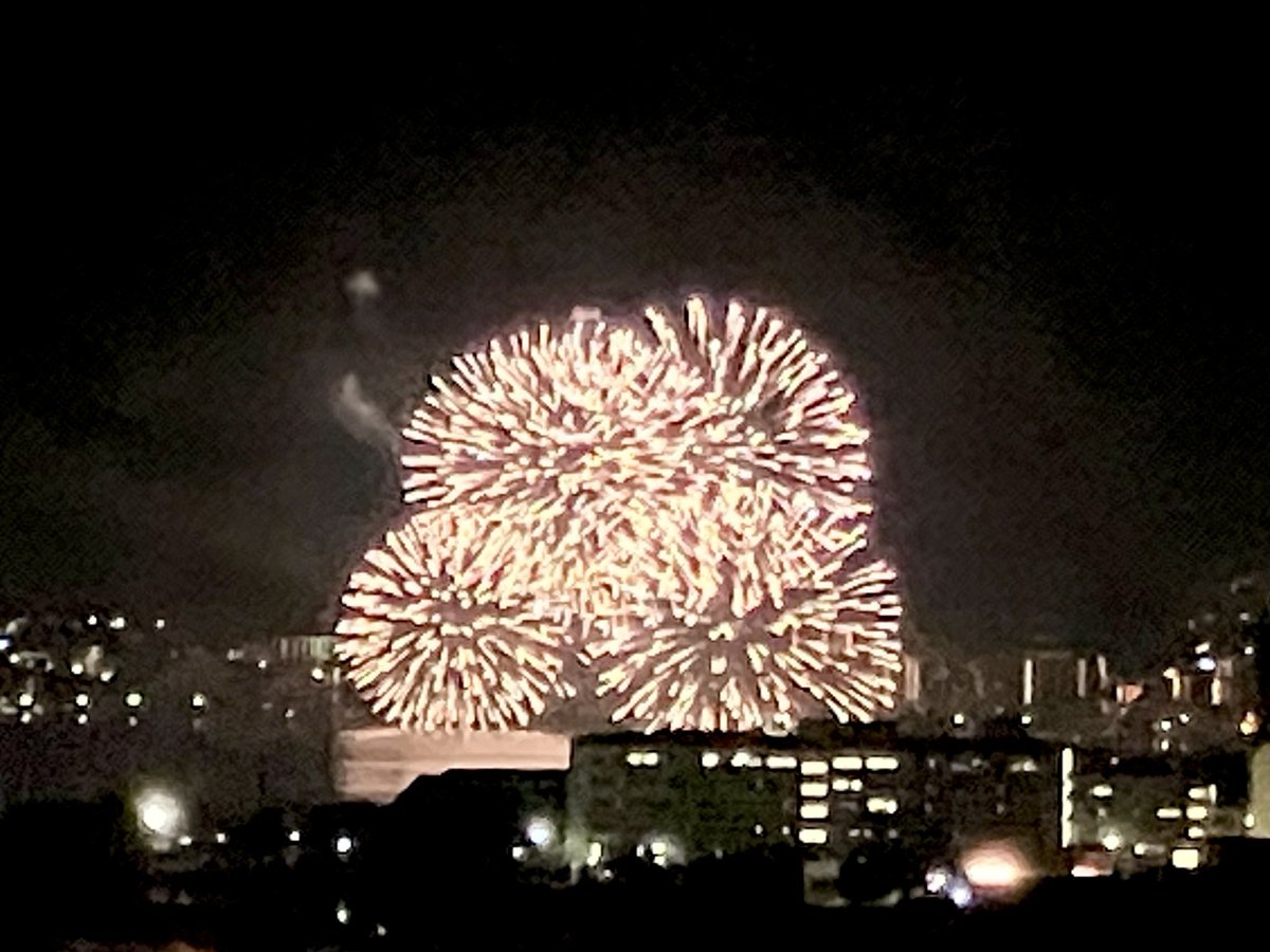 とらねこや工場 tweet media