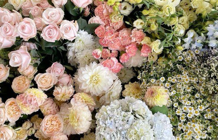 dvairt's tweet image. 