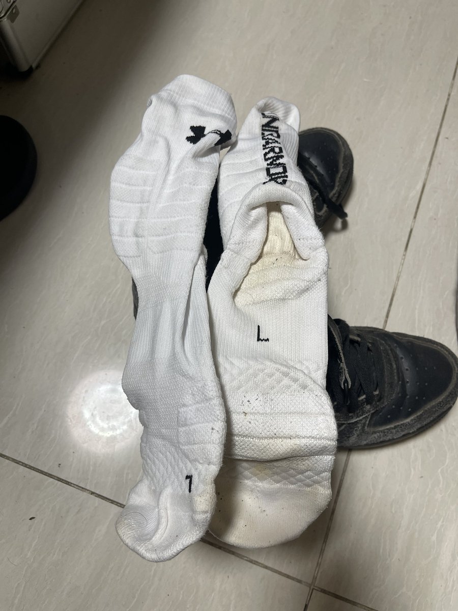 仙肉君 tweet media