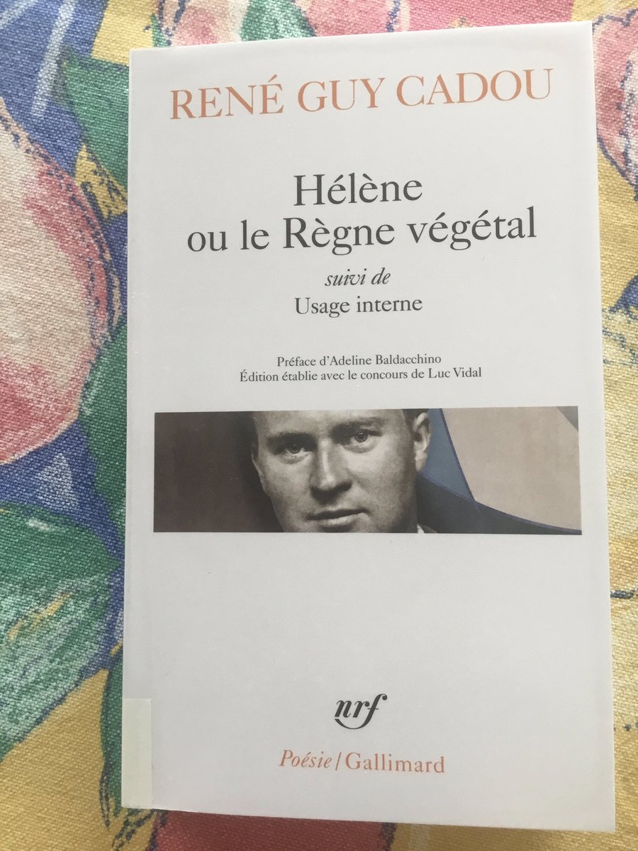 Messidor tweet media