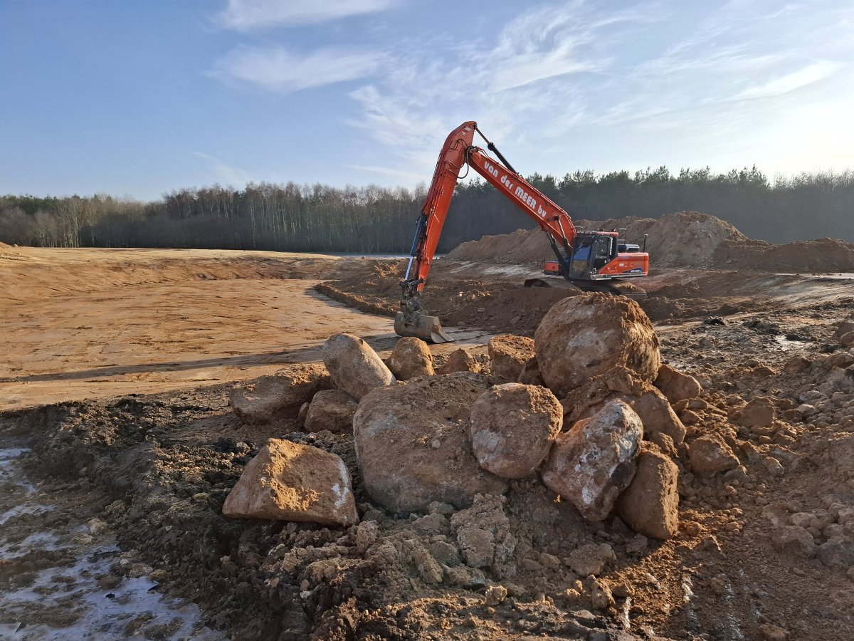 Prolander tweet media