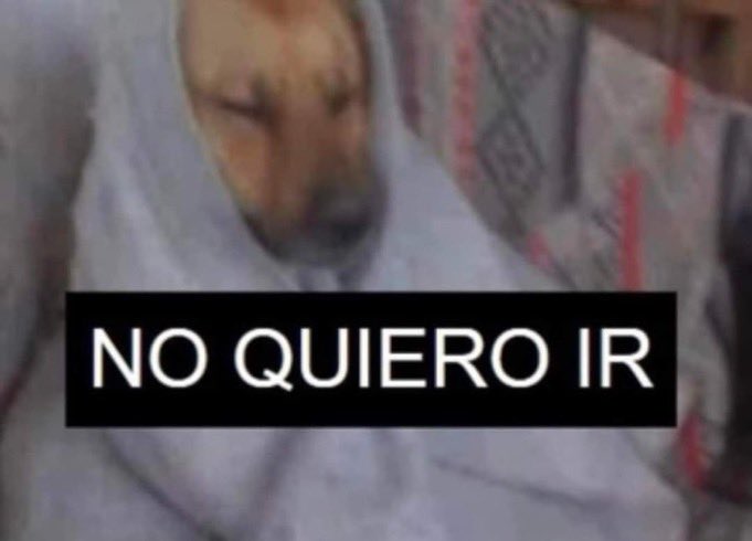 mi alarma sonando por quinta vez

yo: