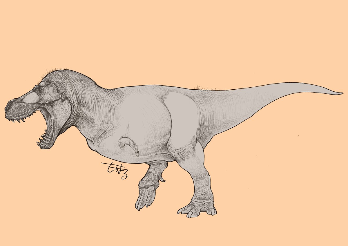 ティラノサウルス